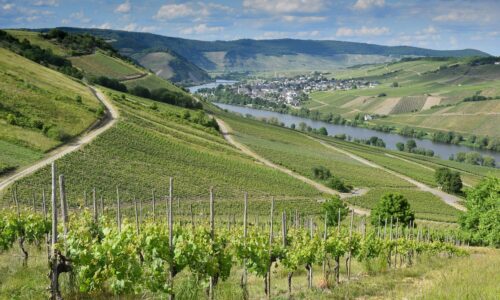 germany, vineyard, river-7264701.jpg